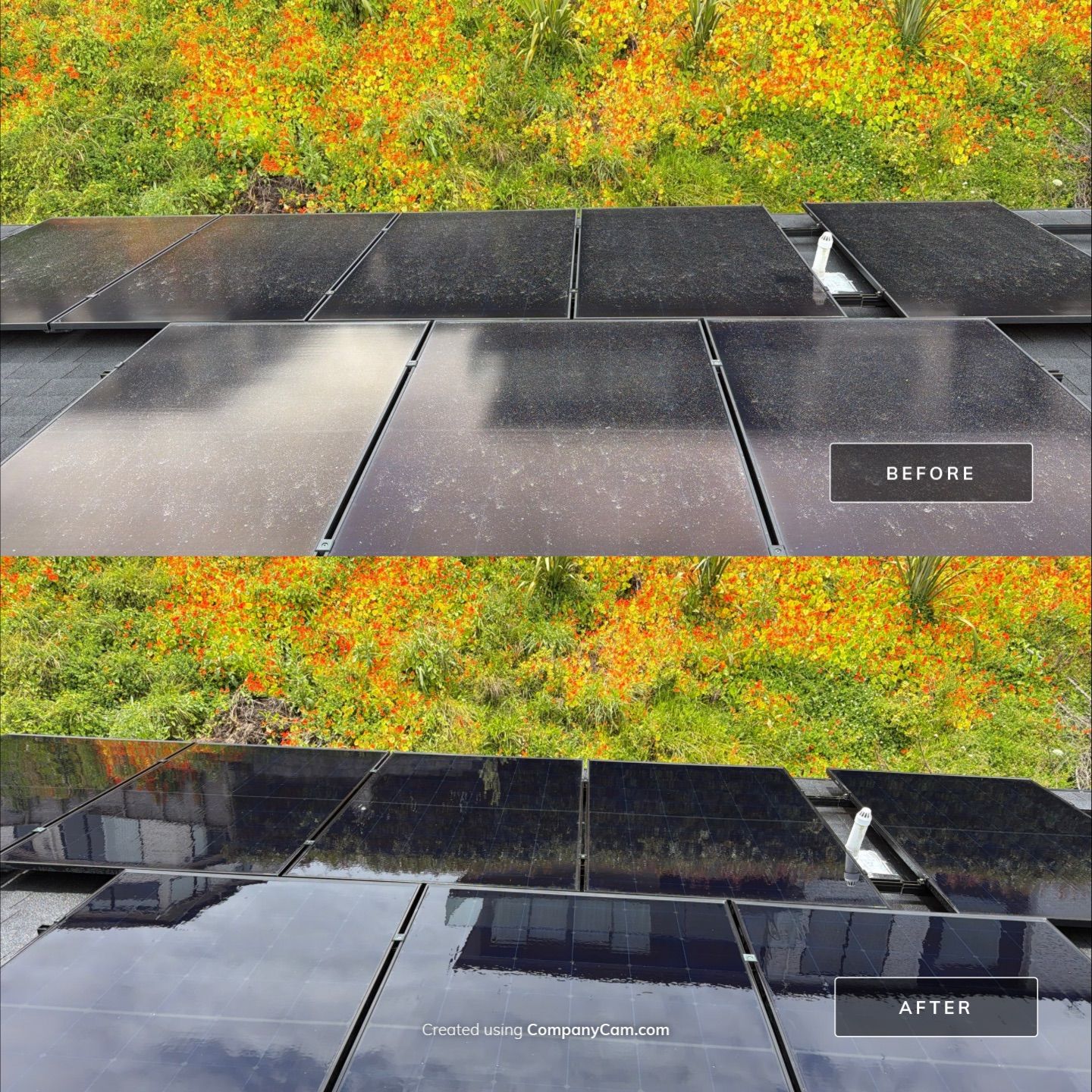 Solar Panel Clean