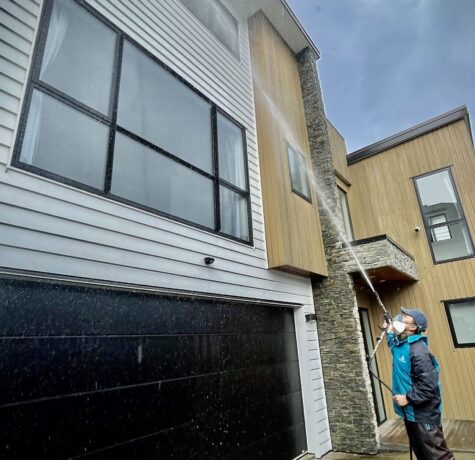 Exterior Soft Washing