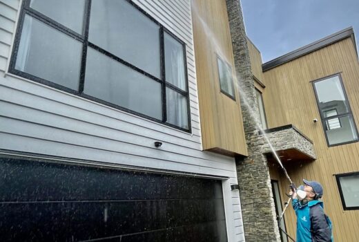Exterior Soft Washing