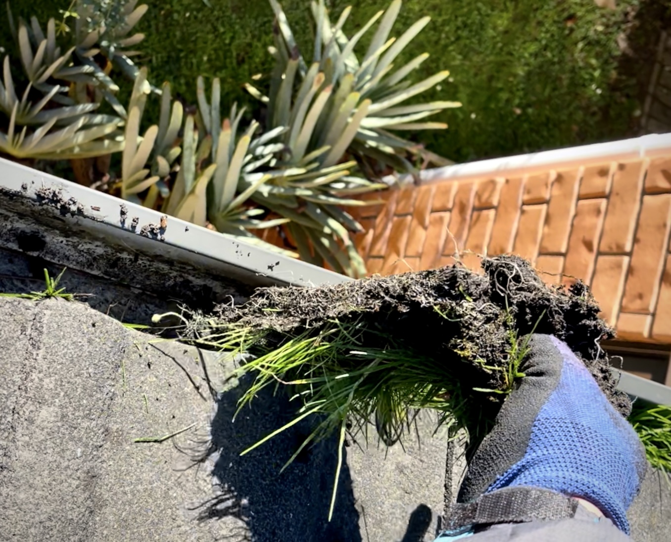 Gutter Cleaning