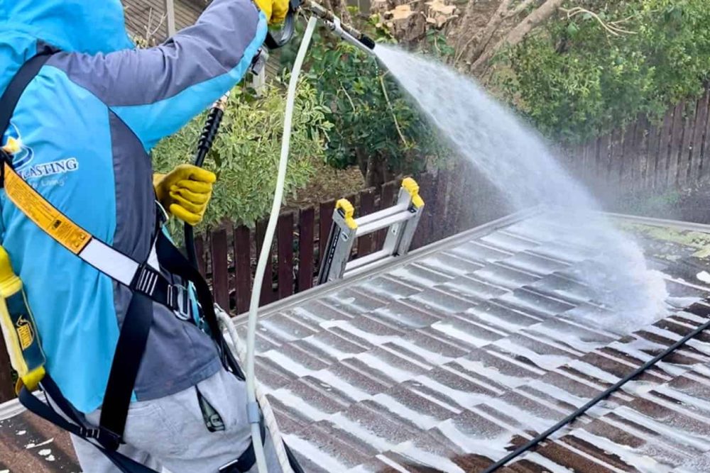 Roof Wash